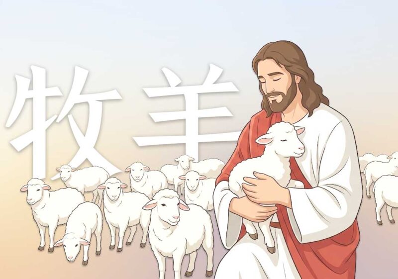 基督教与羊的关系-善米