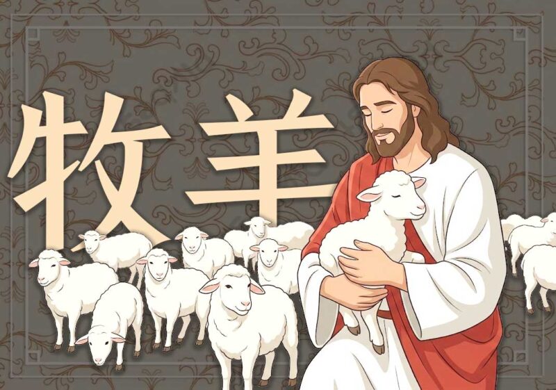 基督教与羊的关系-善米