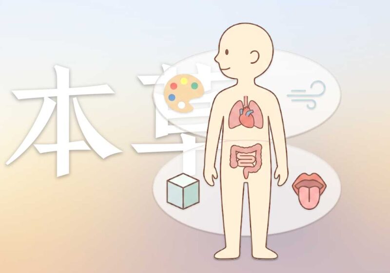 《本草问答》本质图-善米