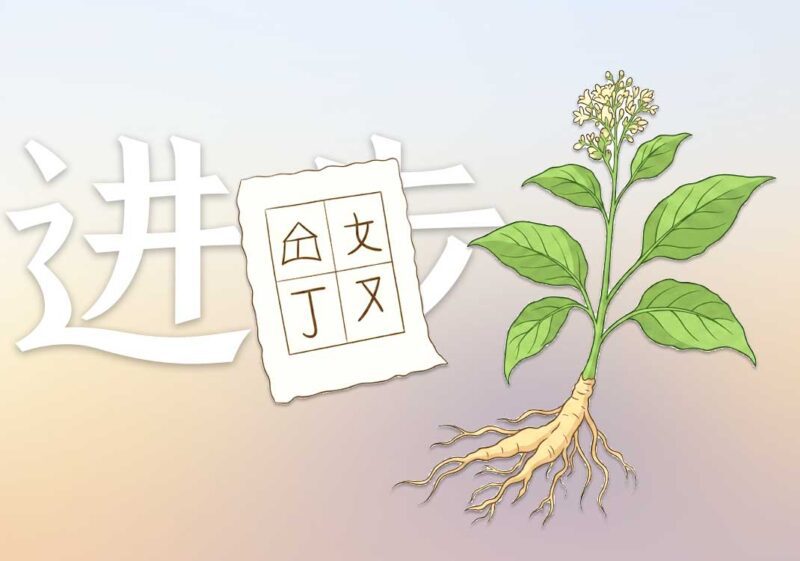 何为真正入乡随俗｜2025.3.3-善米