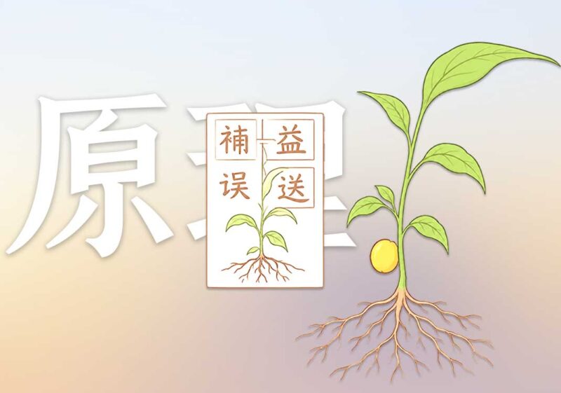 补益与迎随之理｜2025.3.6-善米