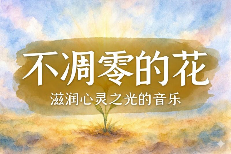 不凋零的花-善米