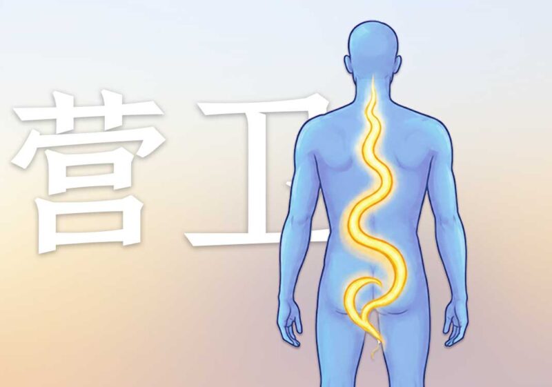 营气运行与卫气运行本质｜2025.5.17-善米