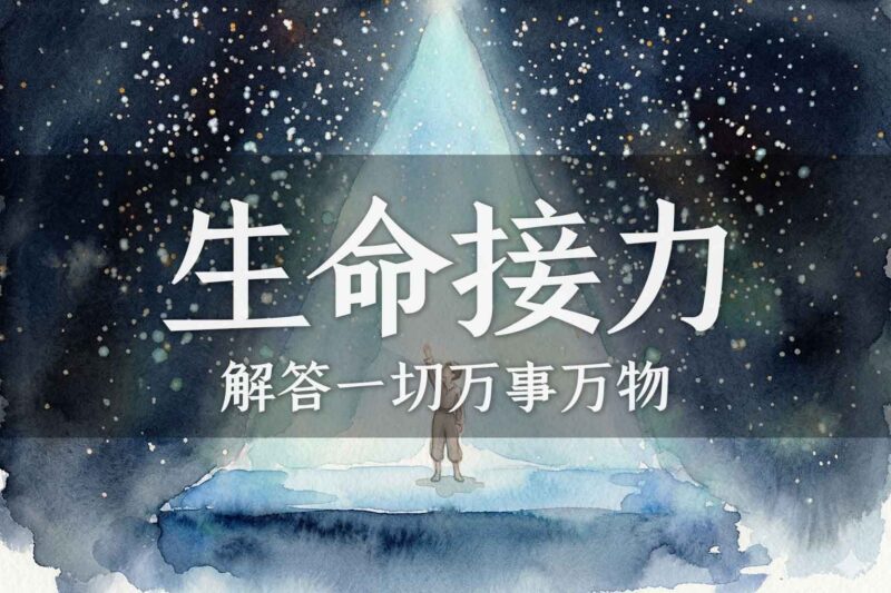 万物“生命的接力”｜张彪、马征｜2025.10.6-善米