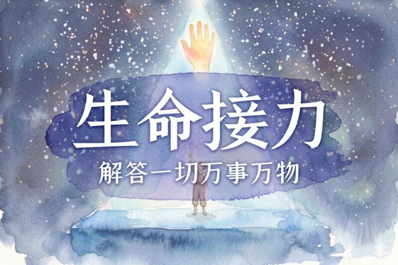万物生命的接力｜张彪、马征｜2025.10.6-善米