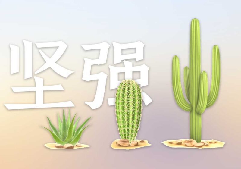 你能理解它有多坚难吗？｜2025.8.17-善米