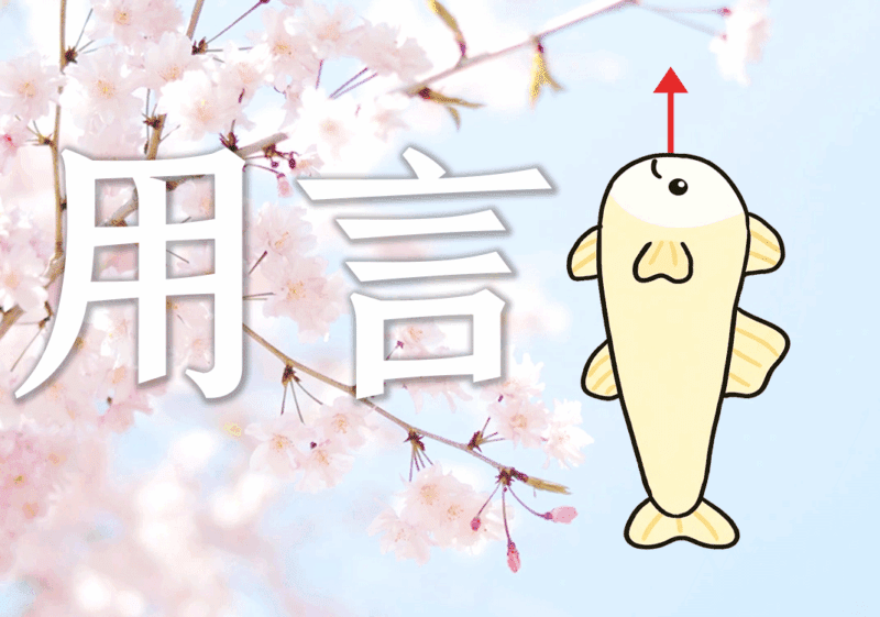 动词、形容词、名词本质2-善米