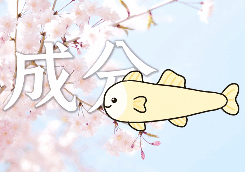 日语句子的主要成分1-善米