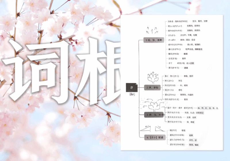 词根的本质（思维导图）-善米