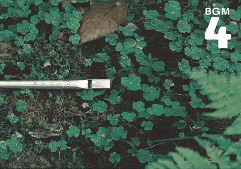 04 Ireland (爱尔兰)-善米