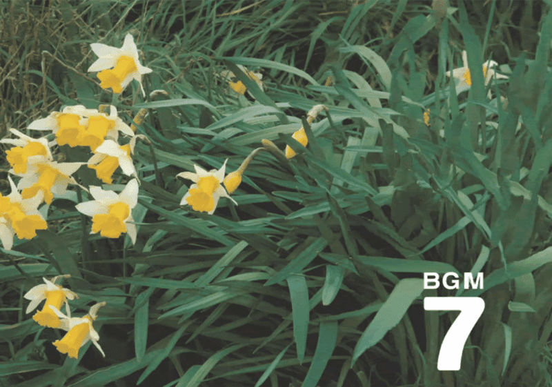 07 Scotland (苏格兰)-善米