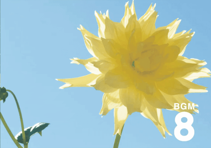 08 Stockholm (斯德哥尔摩)-善米