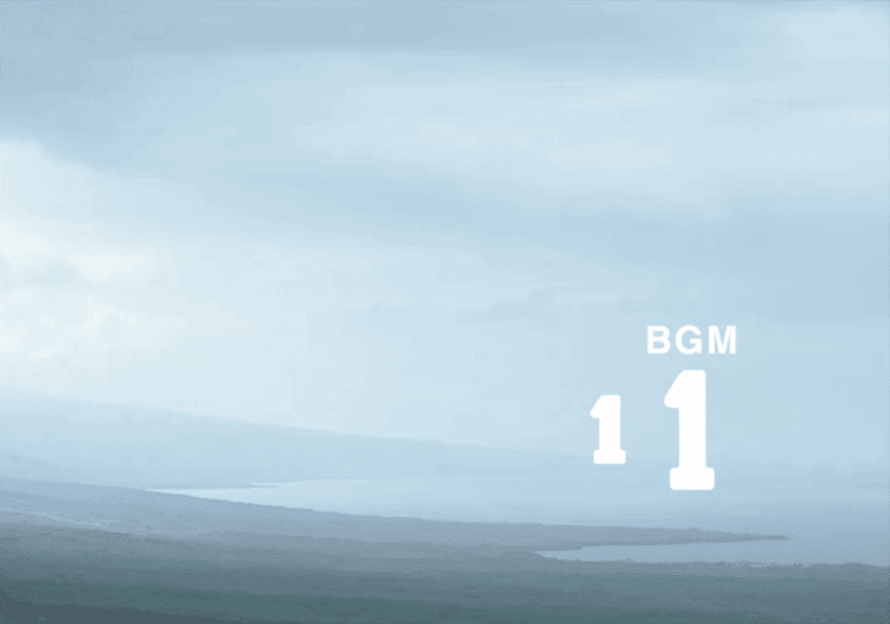 11 Hawaii (夏威夷)-善米