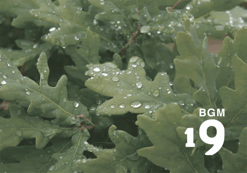 19 Galicia (加利西亚)-善米