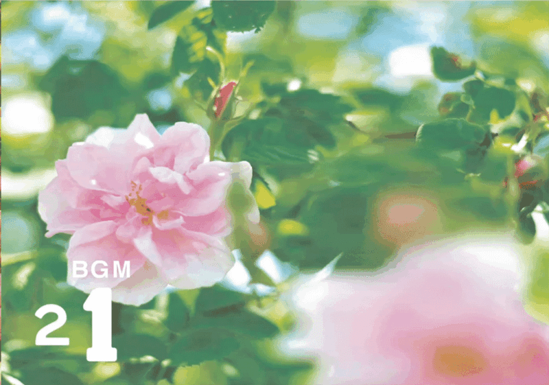 21 Bulgaria (保加利亚)-善米