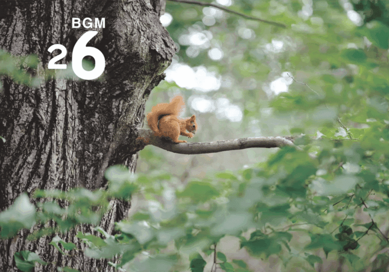 26 Poland (波兰)-善米