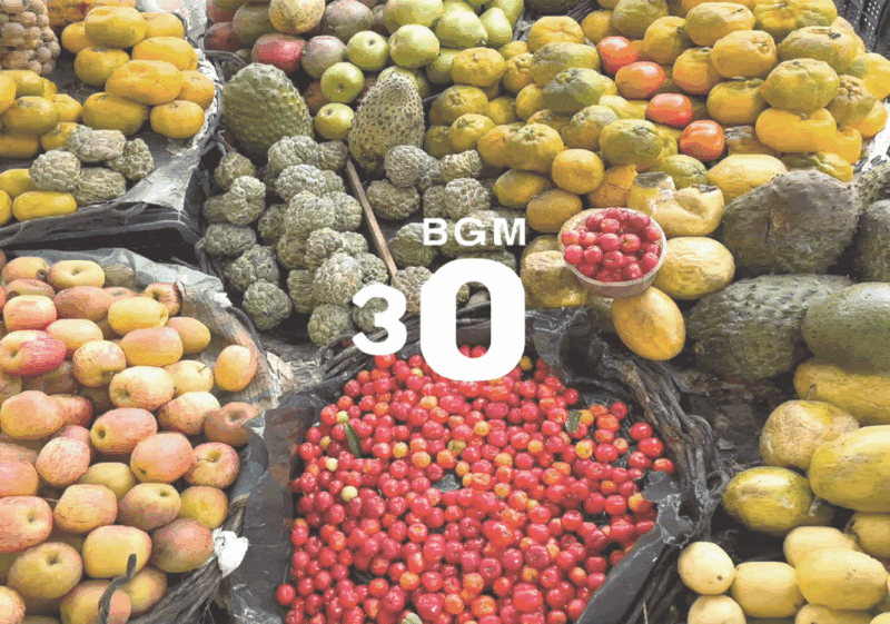 30 Brasil Nordeste (巴西东北部)-善米