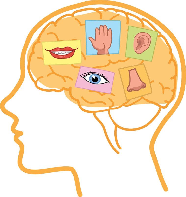 一个人为何会有灵气｜张彪、马征｜2025.4.19-善米