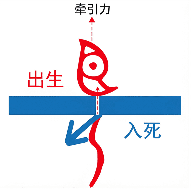 欢乐颂：第一乐章（木之直章）-善米