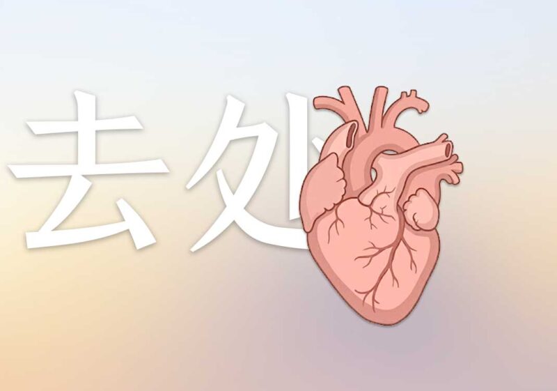 2什么决定去处-善米