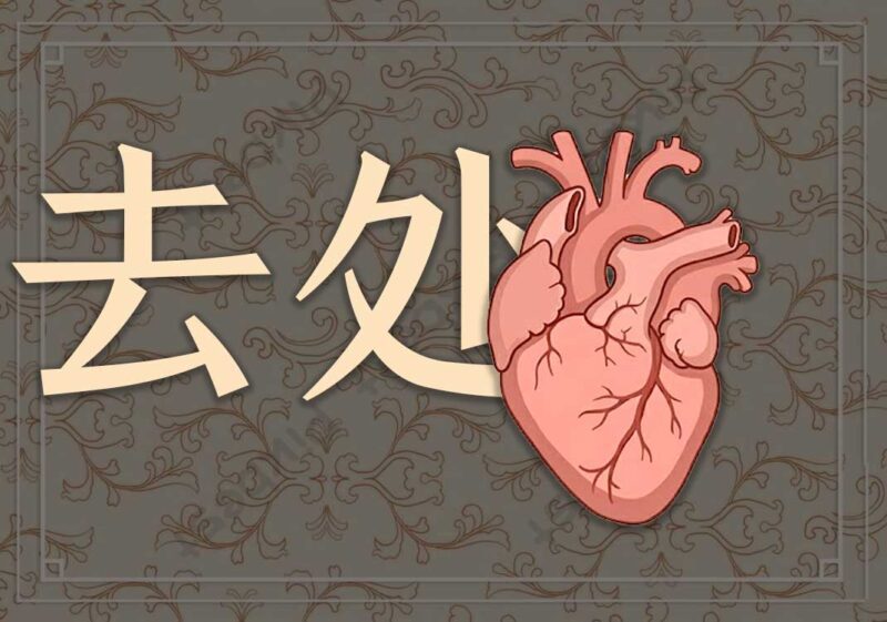 2什么决定去处-善米
