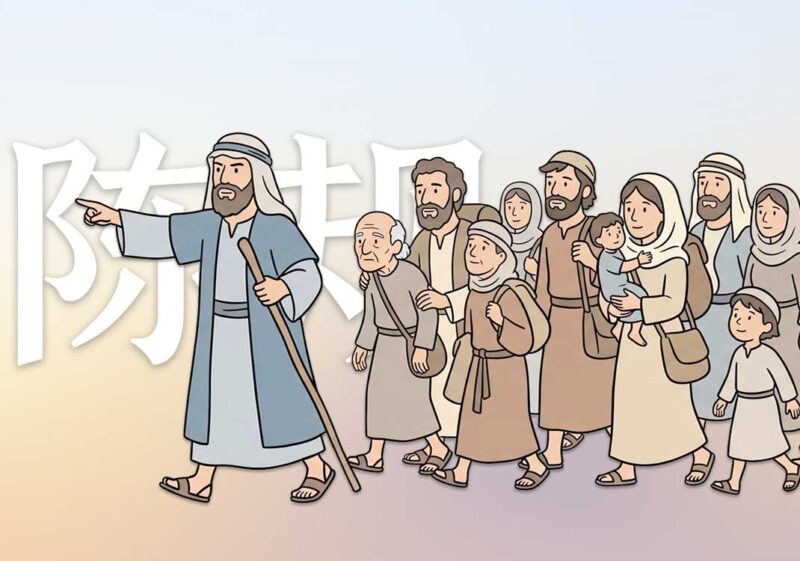 为何大家都墨守陈规｜2026.6.11-善米