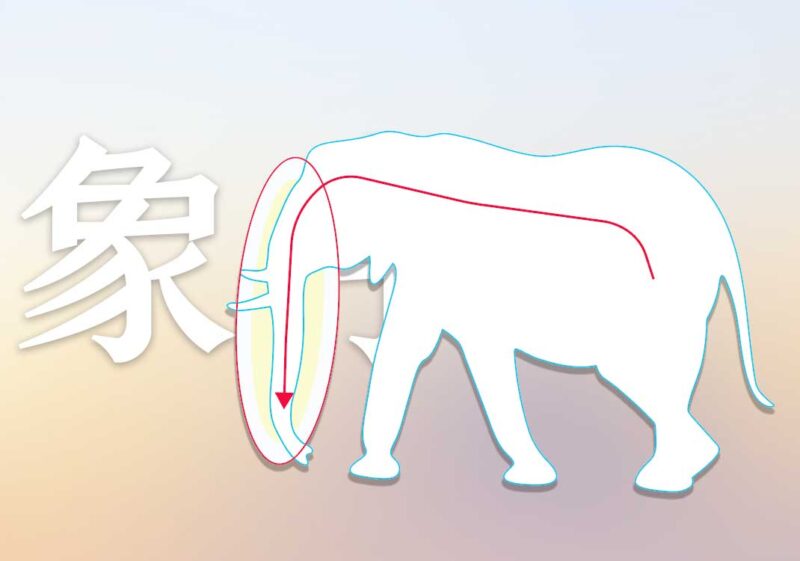 取类比象的本质｜2026.6.25-善米