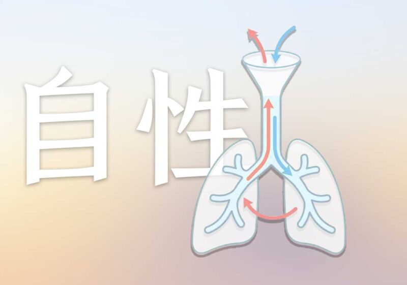 鼻与自性关系｜2019.5.4-善米