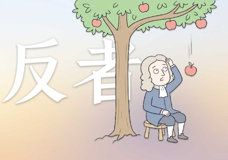 10反者道之动本质|2026.7.17-善米