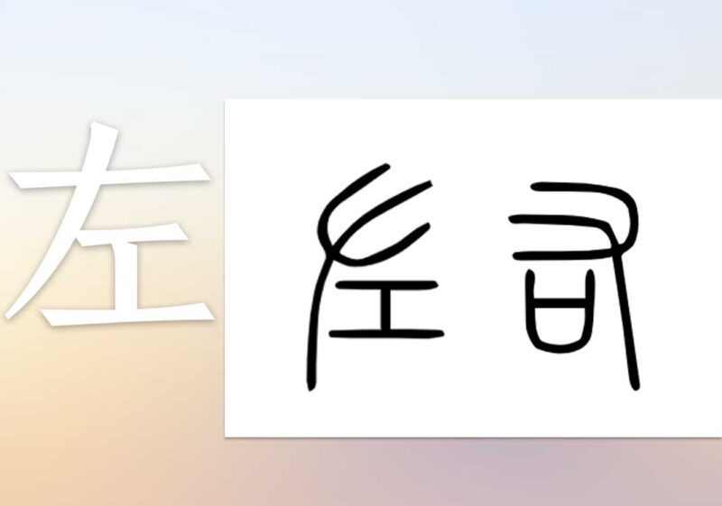 11左和右的本质|2026.7.17-善米