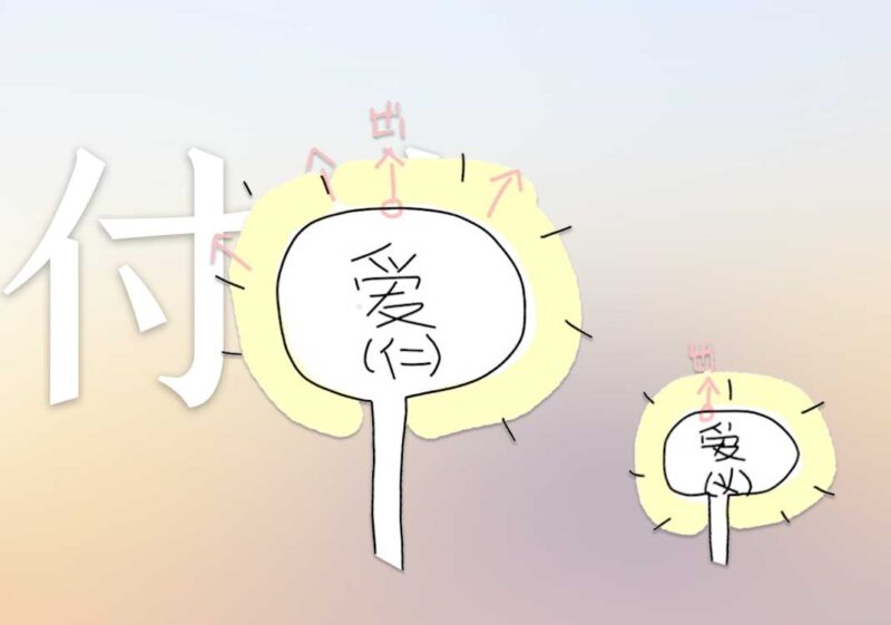 2为何付出不一定有回报｜2026.7.17-善米