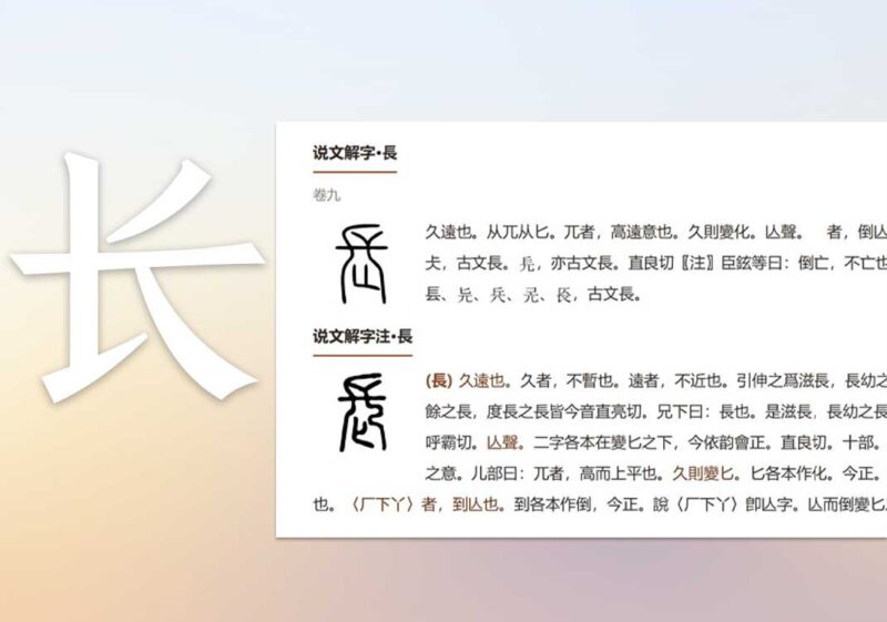 5何为真正的长情｜2026.7.17-善米