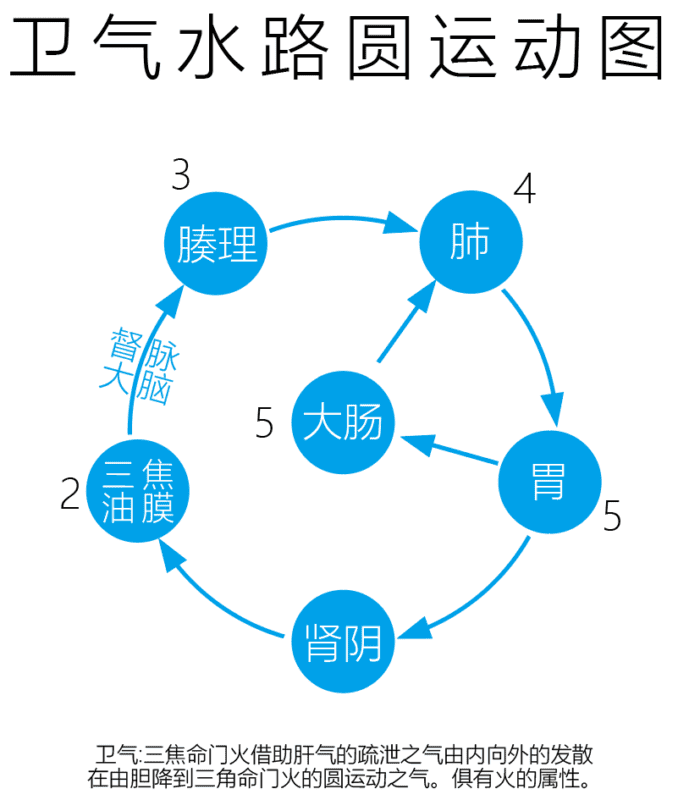 卫气水路圆运动图｜2013.01.1-善米