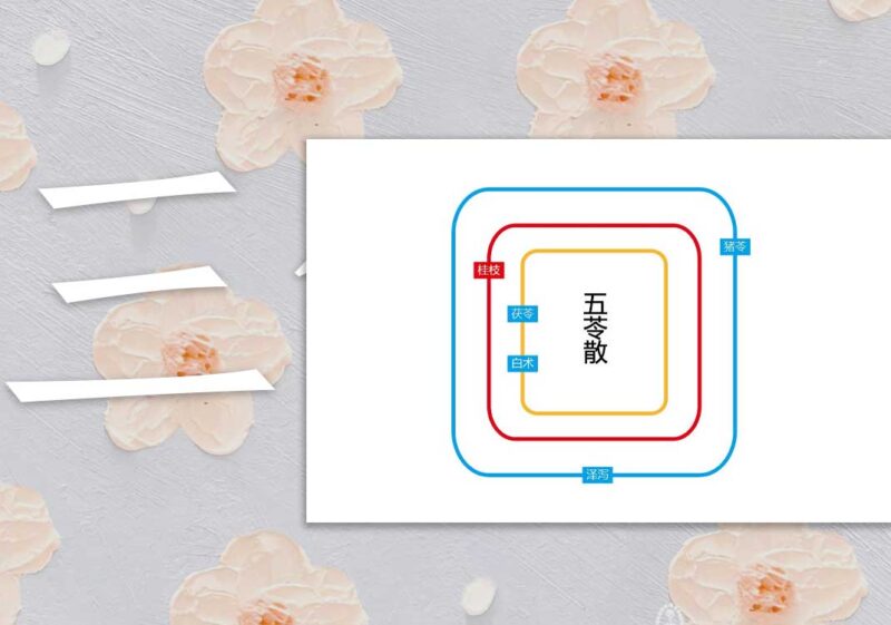 三焦水饮（五苓散）-善米