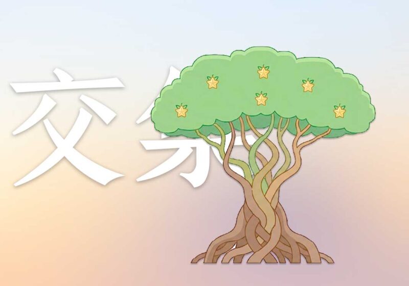 不同学科的完美交集｜2026.7.17-善米