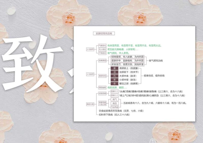 人的致病因素｜2015.3.6-善米