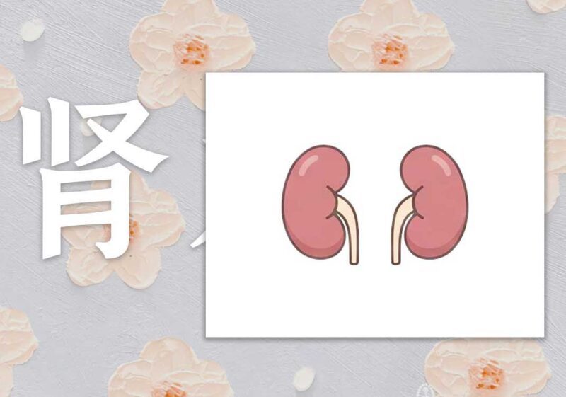 升肾水之药|2013.01.01-善米