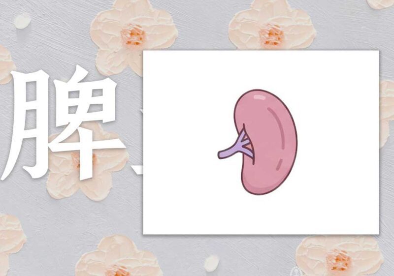 升脾土之药｜2013.01.01-善米