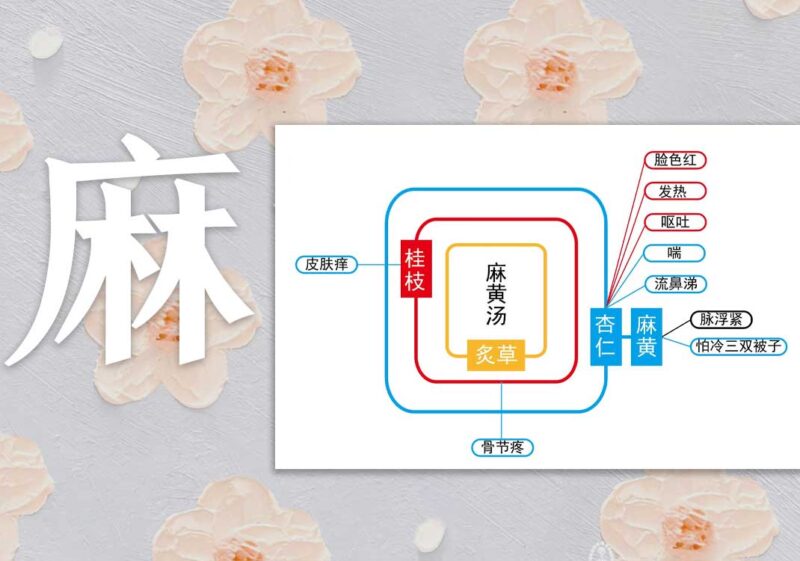 卫气病：荣气＜卫气｜2014.8.10-善米