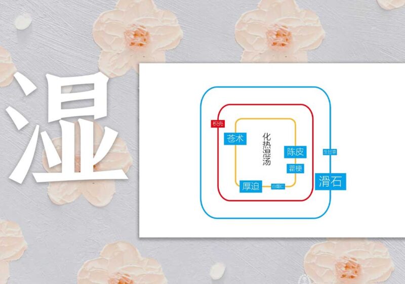 去湿热（平胃散）-善米
