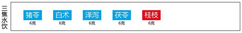 三焦水饮（五苓散）-善米