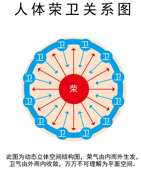 荣卫表里关系图｜2014.8.10-善米