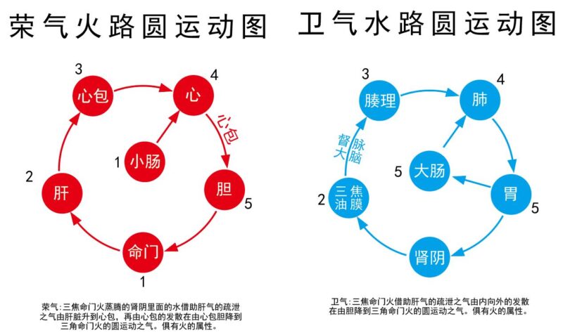 荣卫水火圆运动图｜2014.8.10-善米
