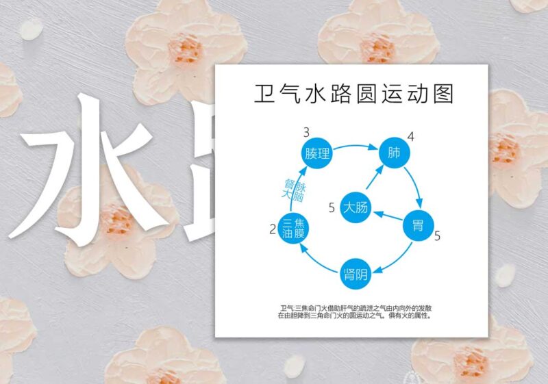 圆运动卫气水路图｜2013.1.1-善米
