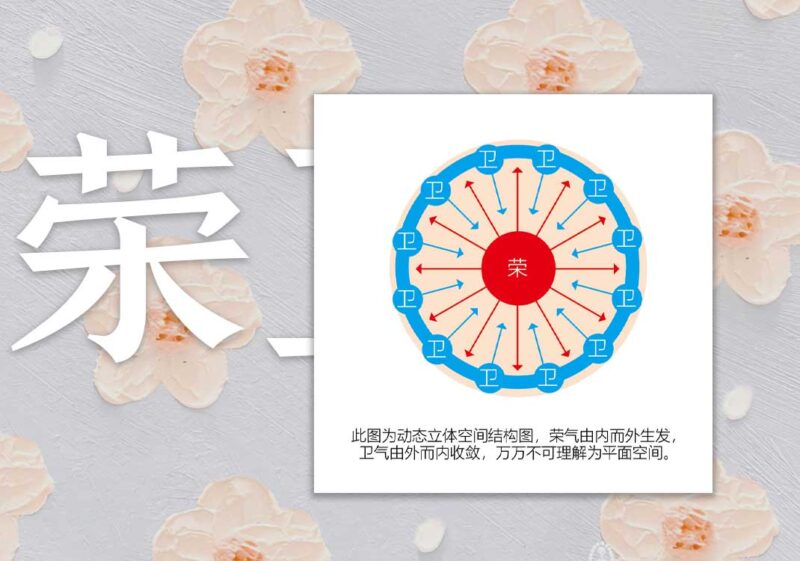 圆运动荣卫关系图｜2013.1.1-善米