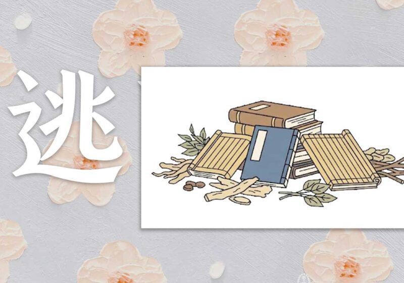 如何逃离张仲景思维｜2013.1.3-善米