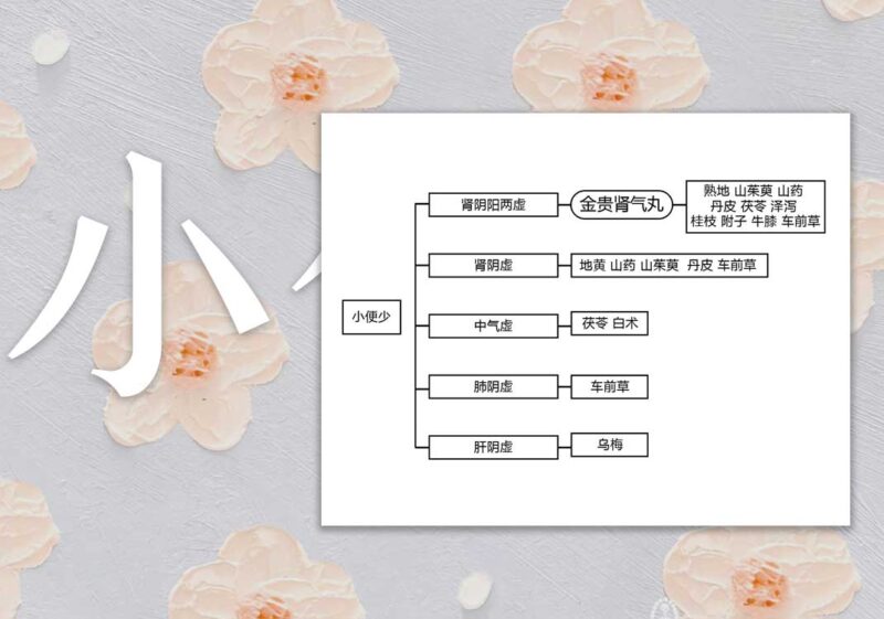 小便少思维导图｜2014.8.10-善米