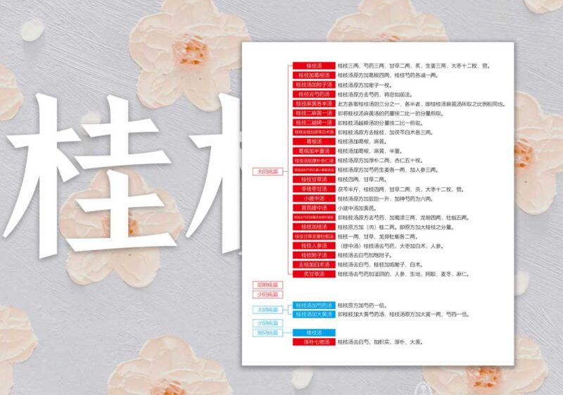 桂枝汤证方剂汇总｜2015.2.24-善米