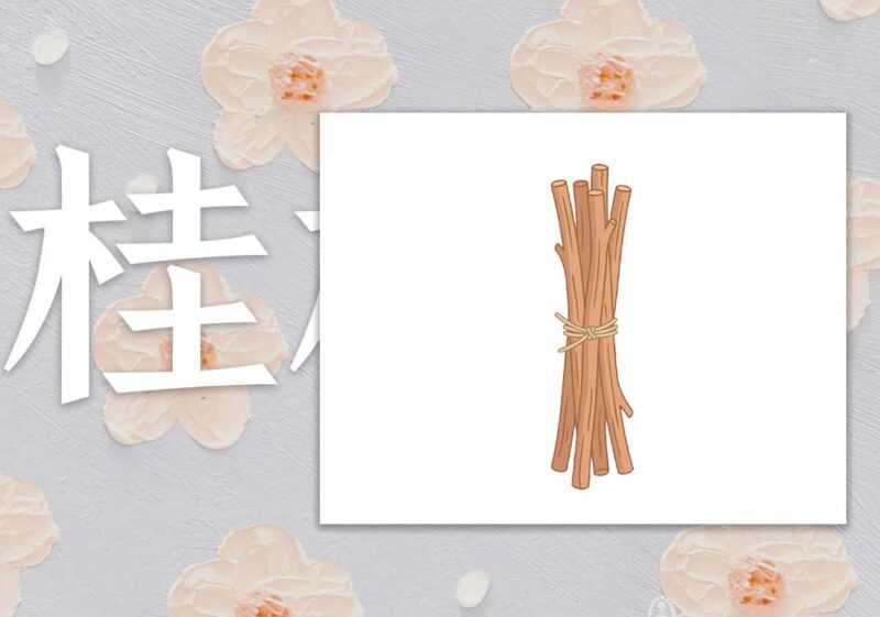 桂枝：肝给心加柴火｜2013.04.29-善米