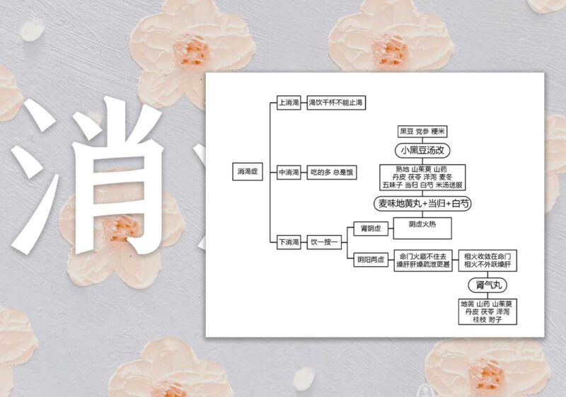 消渴证思维导图｜2014.8.10-善米